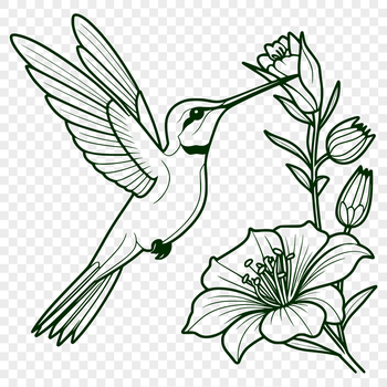 An illustration of a hummingbird surrounded by lush foliage, designed as a high-resolution SVG image.