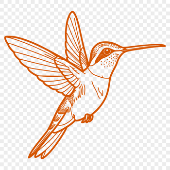 A colorful illustration of a hummingbird in flight, showcasing its iridescent feathers and long beak.