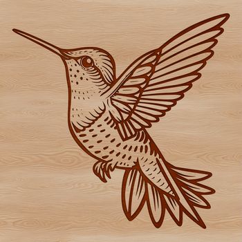 An SVG graphic of a colorful bird, highlighting its swift flight and unique characteristics.