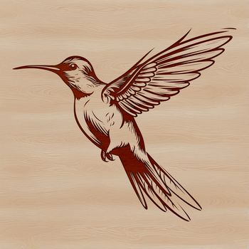 A colorful, small bird with iridescent feathers, hovering in mid-air.