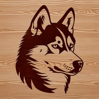 A high-quality digital illustration of a Siberian Husky's head, suitable for use in various design projects.