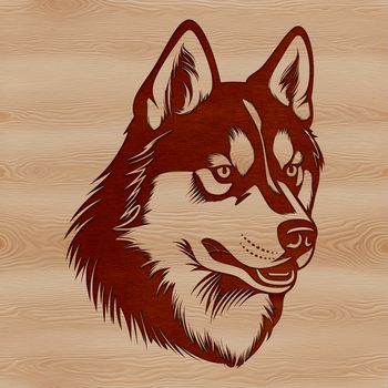 Illustrative vector design of a Siberian Husky's head.