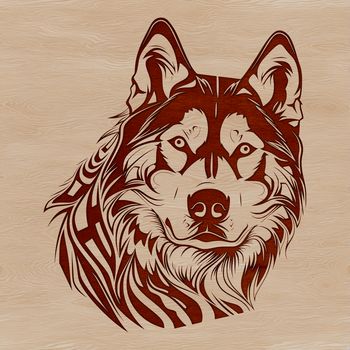 A Siberian Husky dog breed profile with detailed facial features.