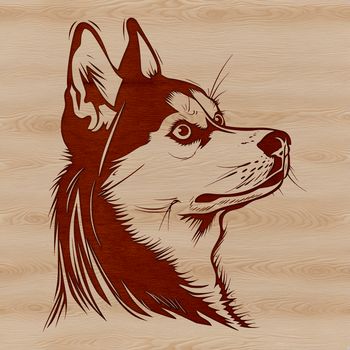 An illustration of a Husky dog's head from various angles in vector format.