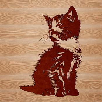 A cute gray kitten sitting on its haunches with front paws folded under its body.