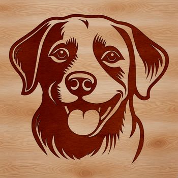 A realistic illustration of a Labrador Retriever's head.