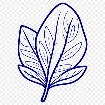 A single, detailed leaf with veins and edges depicted in vector format.