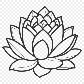 A stylized illustration of a lotus flower, often associated with Eastern spirituality and philosophy.