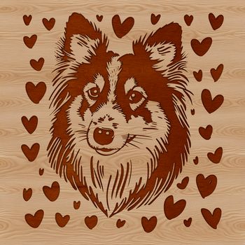Close-up vector illustration of a Shetland Sheepdog's head with love hearts surrounding its features.