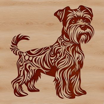 A detailed illustration of a miniature dog breed, featuring a distinctive beard and eyebrows.