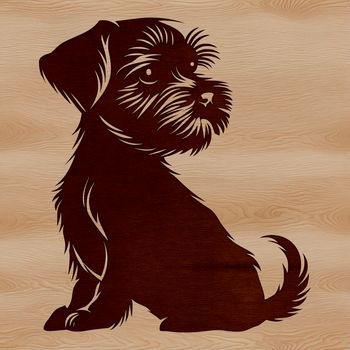 A small breed dog with a distinctive beard and eyebrows, sitting upright.