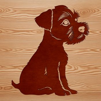 A small breed dog with a distinctive beard and mustache, shown sitting on its haunches.