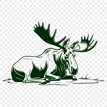 A realistic illustration of a wild animal, a large mammal with antlers, in a natural setting.