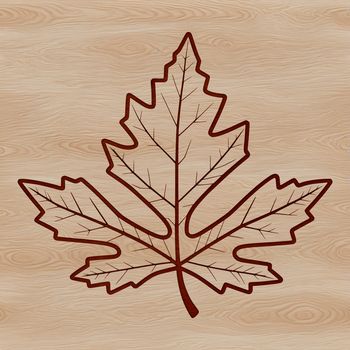 A high-quality vector illustration of a detailed maple leaf with veins and edges.