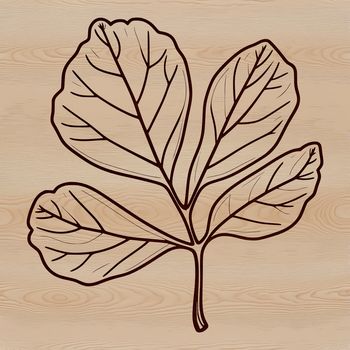 A detailed, scalable illustration of a leaf with smooth edges and realistic texture.