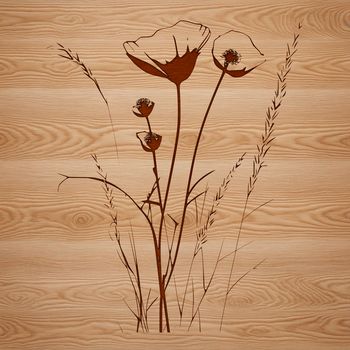A realistic illustration of a single wild flower in bloom, set against a simple background.