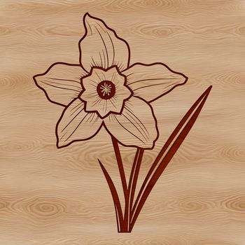 A detailed illustration of a daffodil plant with trumpet-shaped flowers.