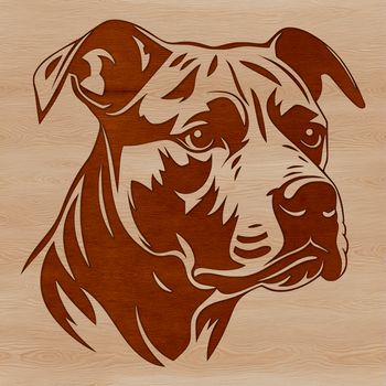 A detailed illustration of a Pitbull's head, suitable for digital design and cutting applications.