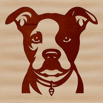 A close-up illustration of a Pitbull's head, suitable for use in graphic design projects.