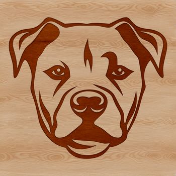 A vector graphic illustration of a pitbull's head with detailed features.