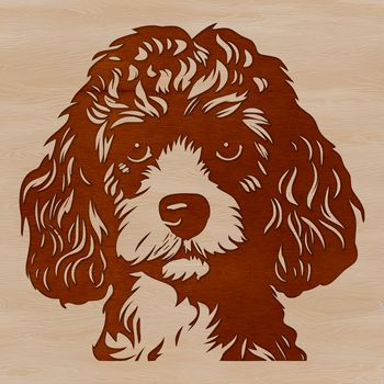 A high-quality digital illustration of a poodle's head, suitable for vector design projects.