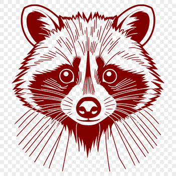 An illustration of a raccoon, created as a vector graphic for digital designs.