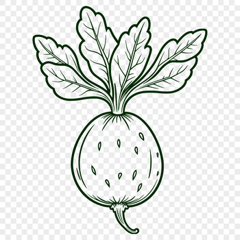 A detailed vector illustration of a radish in silhouette form, suitable for cutting machines and laser engraving.
