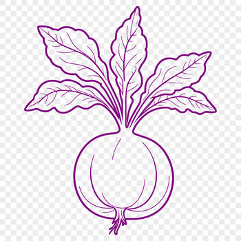 A simple illustration of a radish, suitable for food-related designs and projects.
