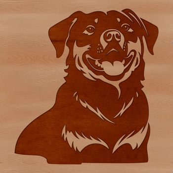 A detailed illustration of a Rottweiler dog breed, suitable for vector graphics.