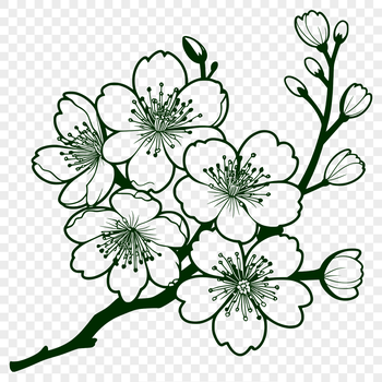 A stylized illustration of a single cherry blossom flower with delicate petals.