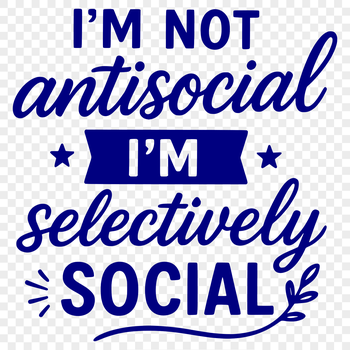 A collection of humorous quotes with a sarcastic tone, ideal for DIY projects and personal use.