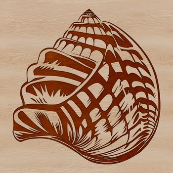 A stylized illustration of a seashell, suitable for seaside-themed projects and designs.