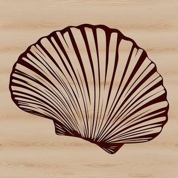 A high-quality vector illustration of a realistic seashell, suitable for various design applications.