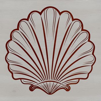 Vector graphic design element featuring a stylized seashell.