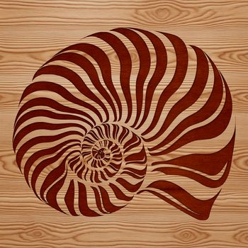 A decorative vector graphic design featuring a stylized seashell motif.