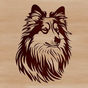 A high-quality digital illustration of a Shetland sheepdog's head, suitable for various designs and crafts.