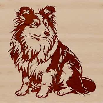 A seated Shetland sheepdog with distinctive features.
