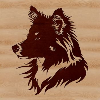 Close-up illustration of a Shetland sheepdog's head featuring intricate details.