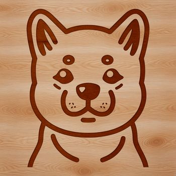 Close-up image of a Shiba Inu's head with distinct fox-like features.