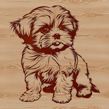 A vector illustration of a sitting Shih Tzu dog breed.