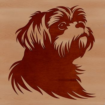 A detailed illustration of a Shih Tzu's head, suitable for vector art and graphic design.