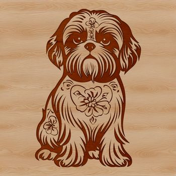 A sitting Shih Tzu dog with ornate features, suitable for use in vector design projects.