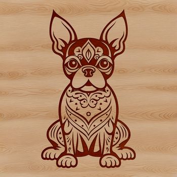 A sitting Boston Terrier breed dog with a neutral expression.