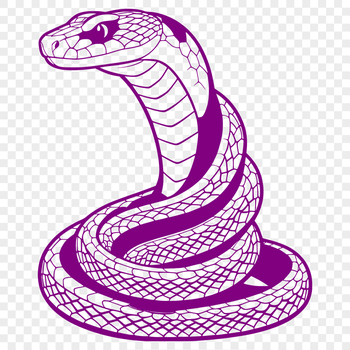 A high-resolution vector illustration of a snake in various poses.