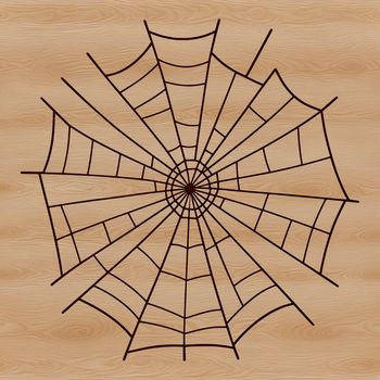 A digital illustration of a delicate spider web in vector format.