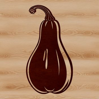 A stylized vector illustration of a squash, suitable for graphic design and digital art projects.