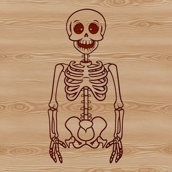 A detailed illustration of a standing skeleton, suitable for various designs and crafts.