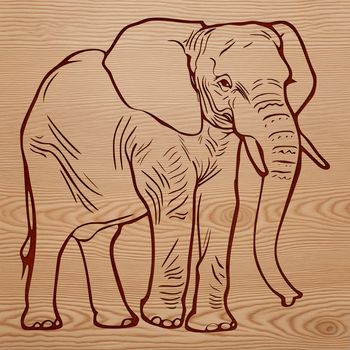 SVG graphic illustration of a standing elephant, ideal for vector design projects.