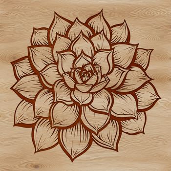 A detailed vector drawing of a desert plant with rounded stems and spiky foliage.