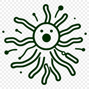 An illustration of a single bacteria cell, created as a vector graphic.